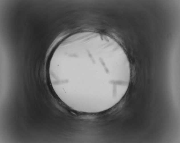 X0000083030102200703022035