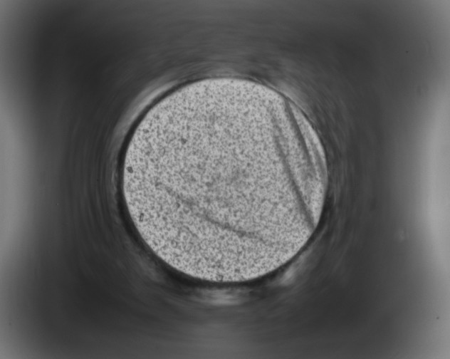 X0000083030103200703022035