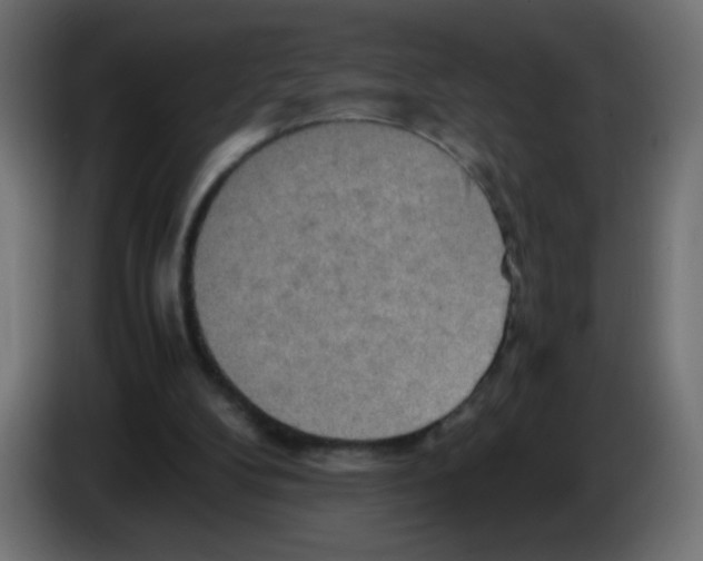 X0000083030104200703022035