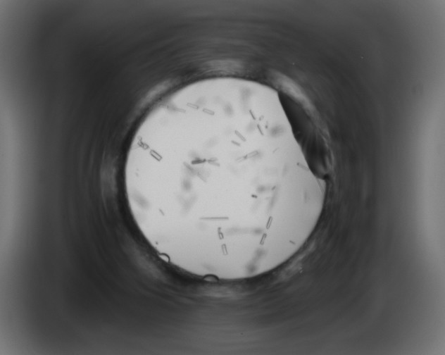 X0000083030106200703022035