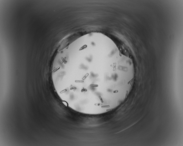 X0000083030107200703022035