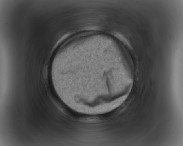 X0000083030108200703022035