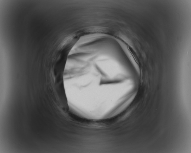 X0000083030109200703022035