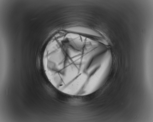 X0000083030110200703022035