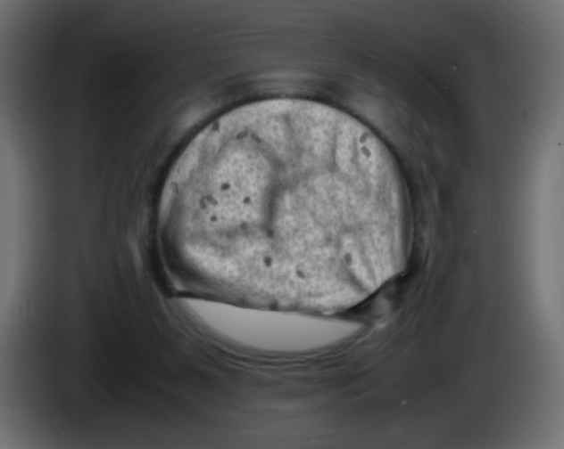 X0000083030111200703022035