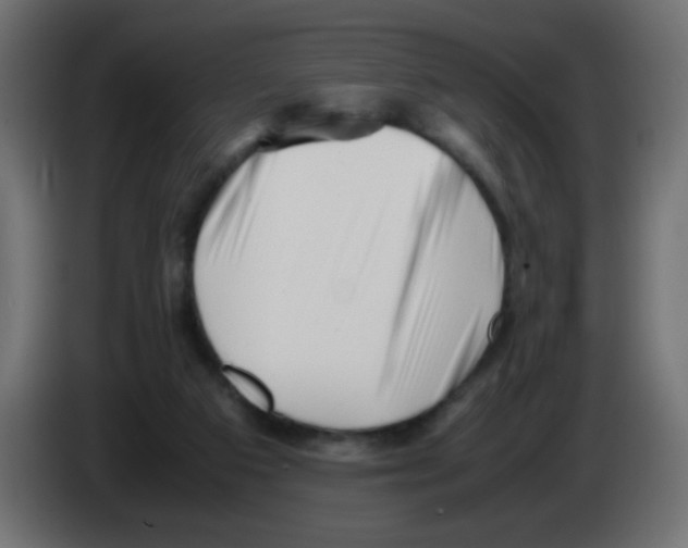 X0000083030113200703022035