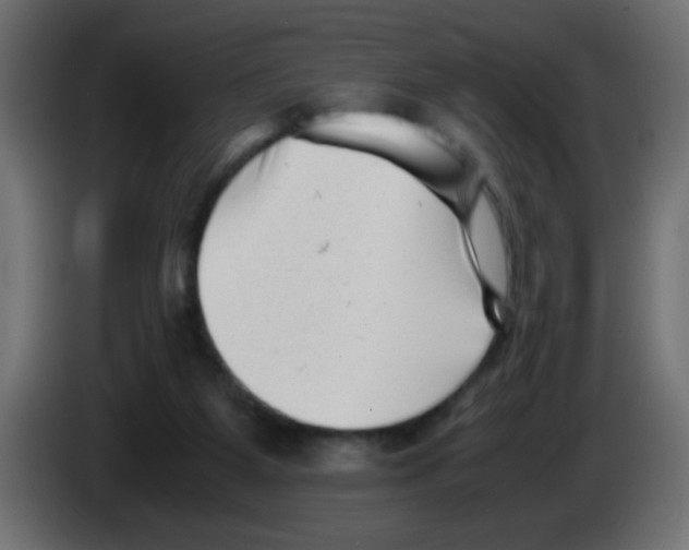 X0000083030115200703022035