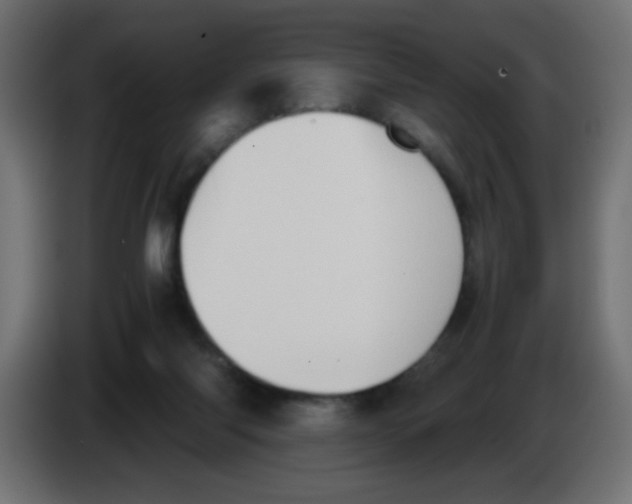 X0000083030118200703022035