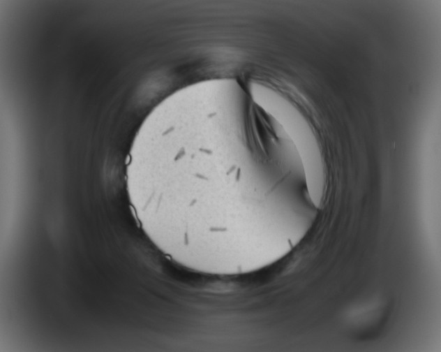 X0000083030119200703022035