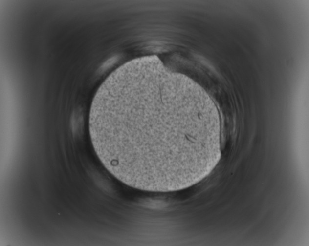 X0000083030120200703022035