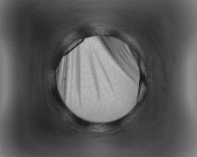 X0000083030121200703022035