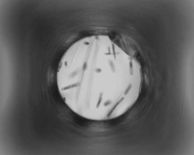 X0000083030123200703022035