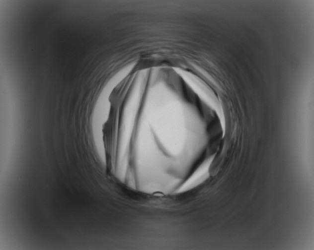 X0000083030125200703022035