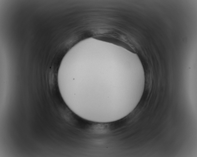 X0000083030126200703022035