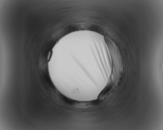 X0000083030129200703022035