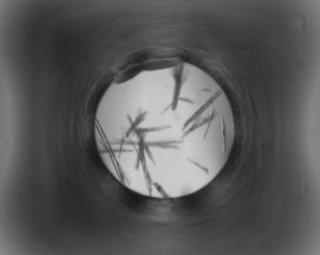 X0000083030131200703022035