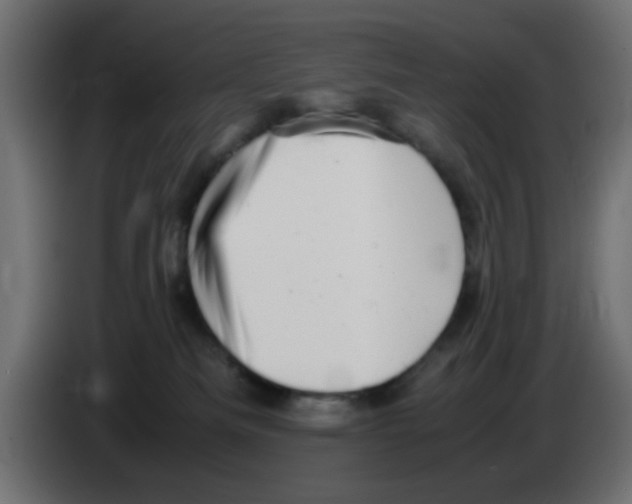 X0000083030133200703022035