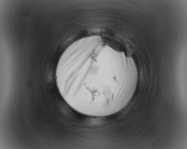 X0000083030134200703022035