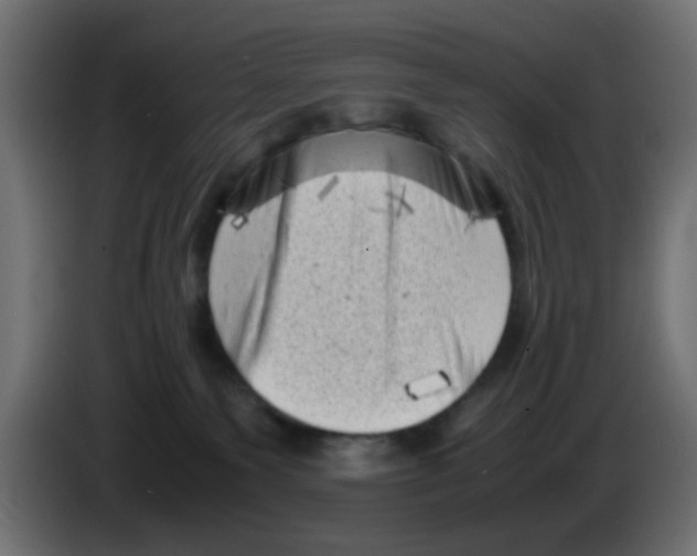 X0000083030135200703022035