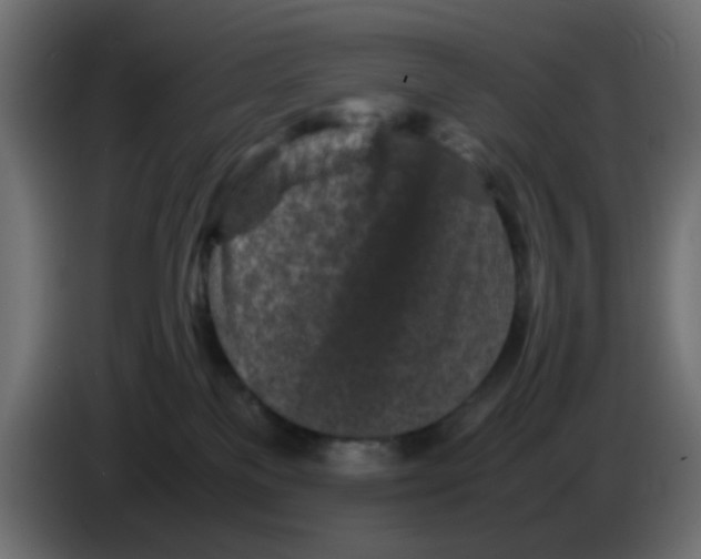 X0000083030137200703022035