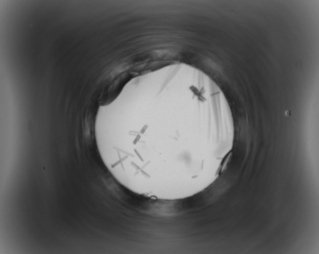 X0000083030138200703022034