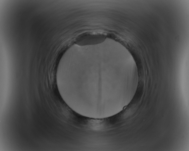 X0000083030139200703022034