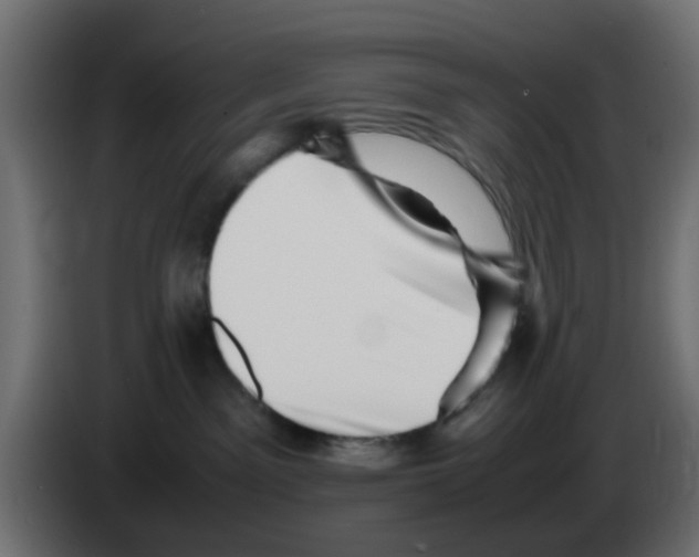 X0000083030141200703022034