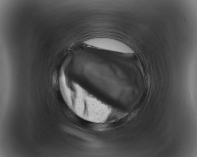 X0000083030143200703022034