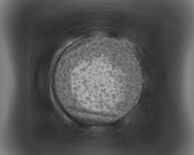 X0000083030145200703022034