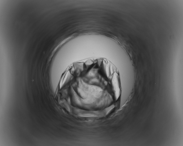 X0000083030146200703022034