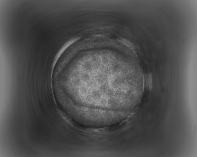 X0000083030147200703022034