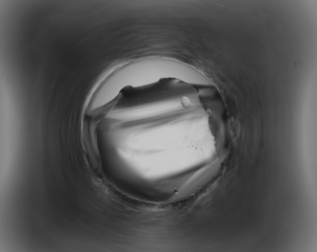 X0000083030148200703022034