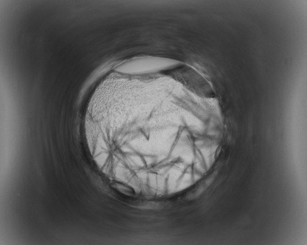 X0000083030149200703022034