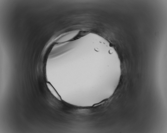 X0000083030150200703022034