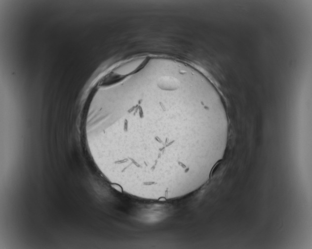 X0000083030151200703022034