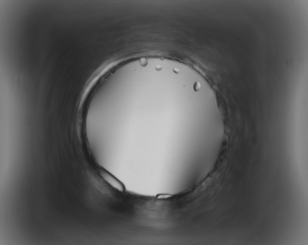 X0000083030152200703022034