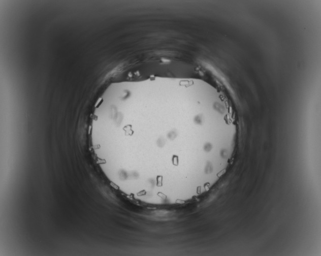 X0000083030153200703022034