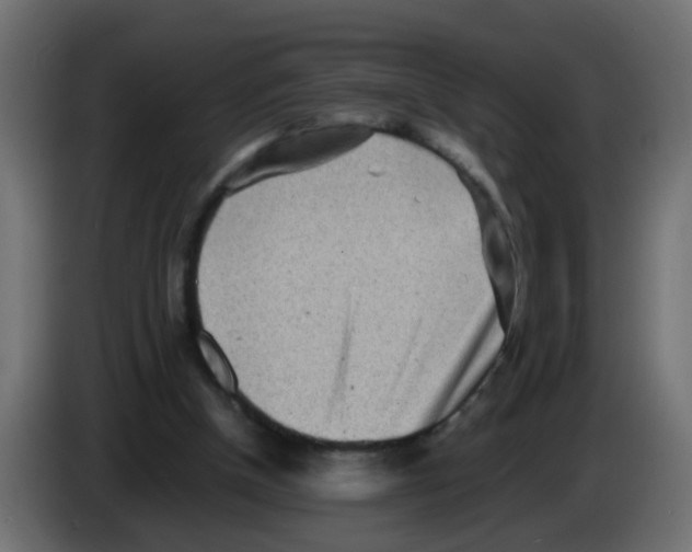 X0000083030154200703022034