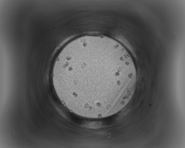 X0000083030155200703022034