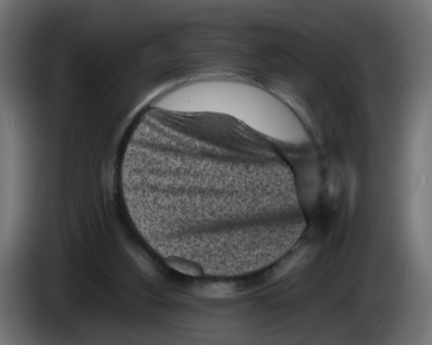 X0000083030156200703022034