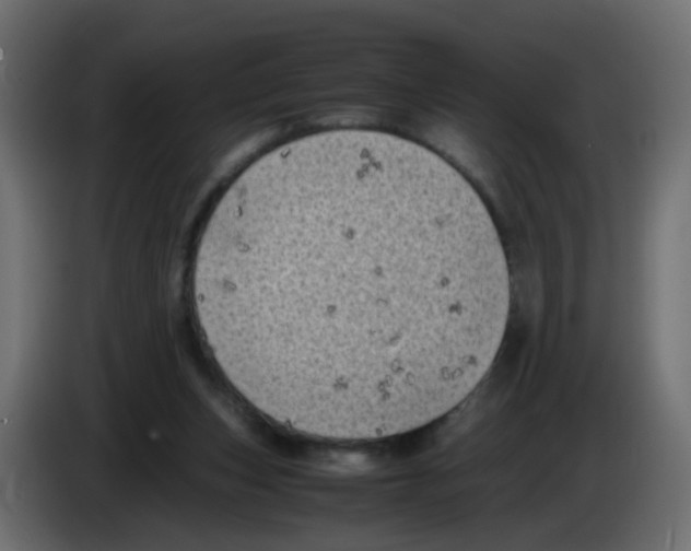 X0000083030159200703022034