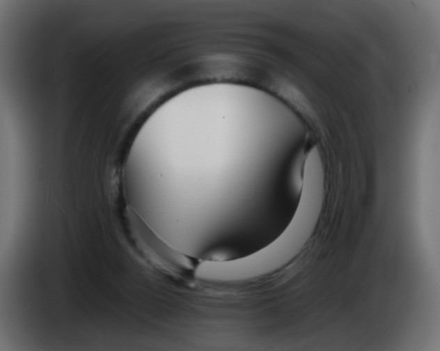 X0000083030160200703022034