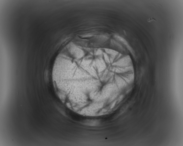 X0000083030161200703022034