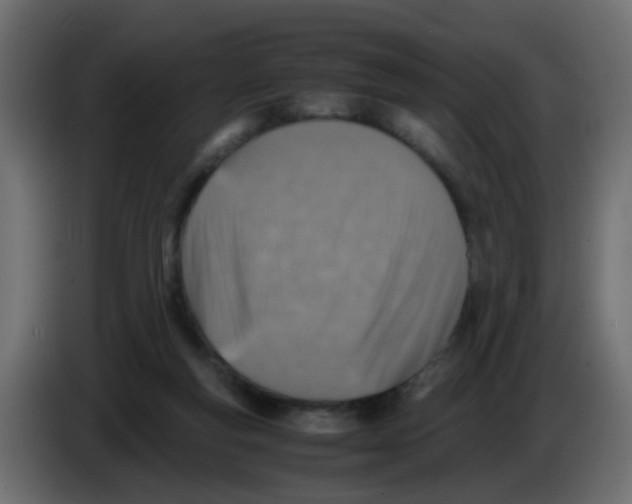 X0000083030163200703022034