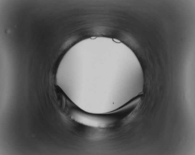 X0000083030164200703022034