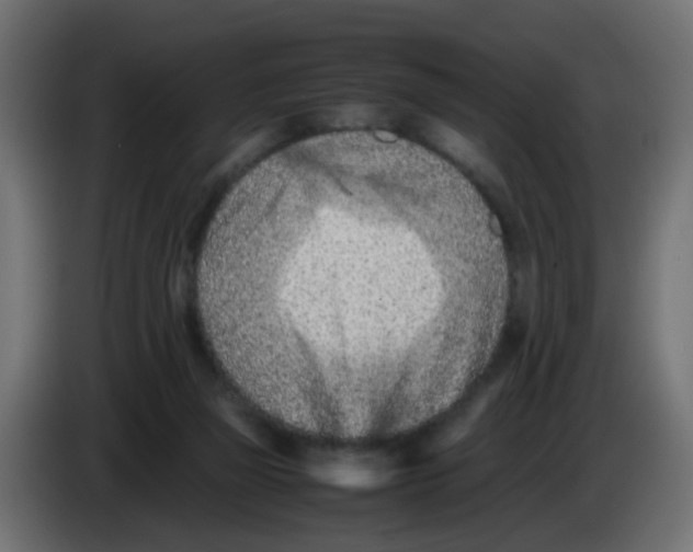 X0000083030165200703022034