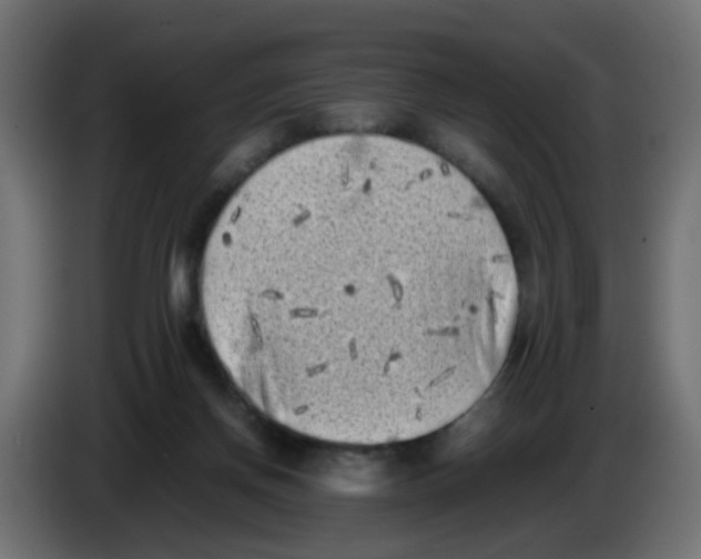 X0000083030166200703022034