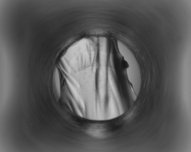 X0000083030168200703022034