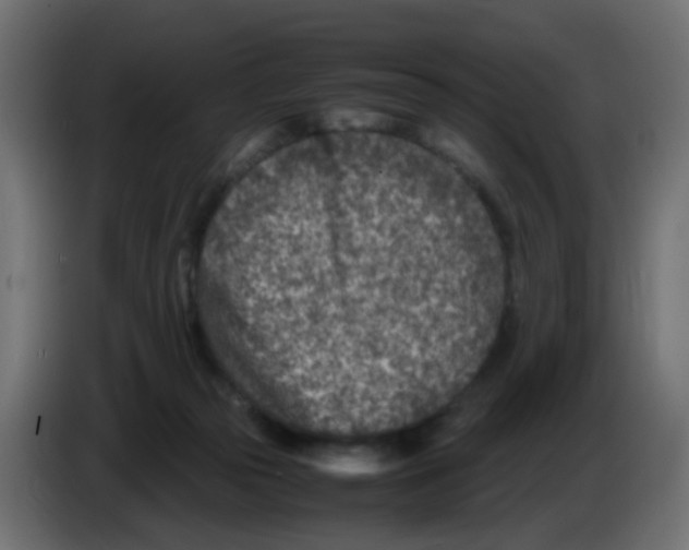 X0000083030169200703022034