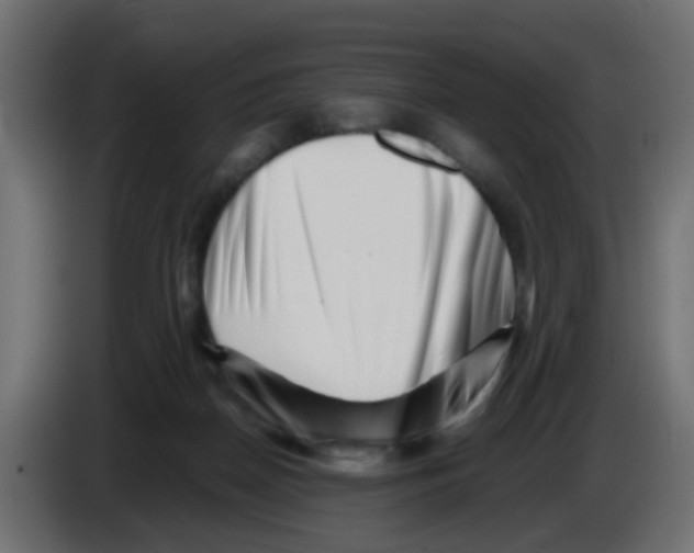 X0000083030170200703022034